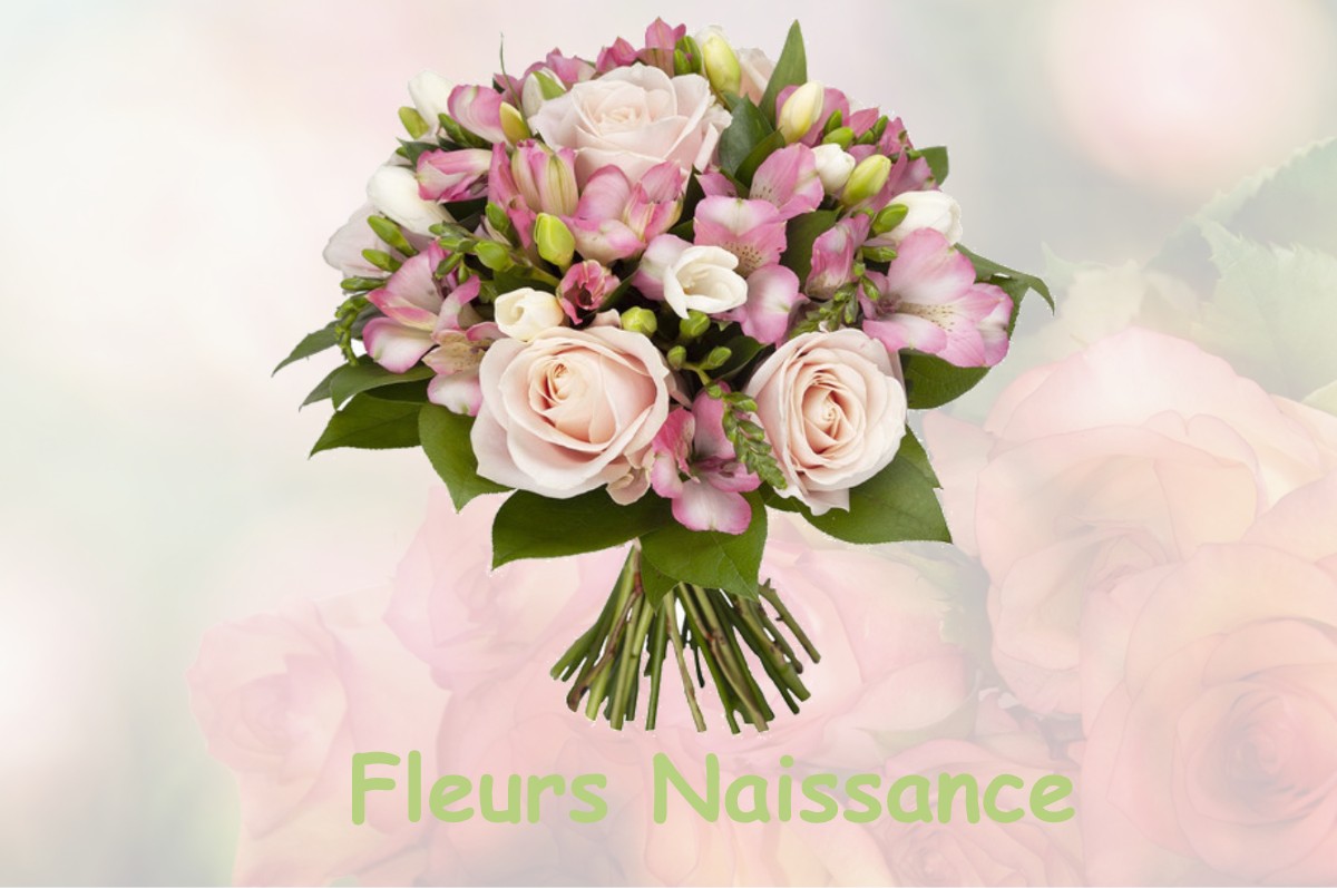 fleurs naissance LONGCHAMPS-SUR-AIRE