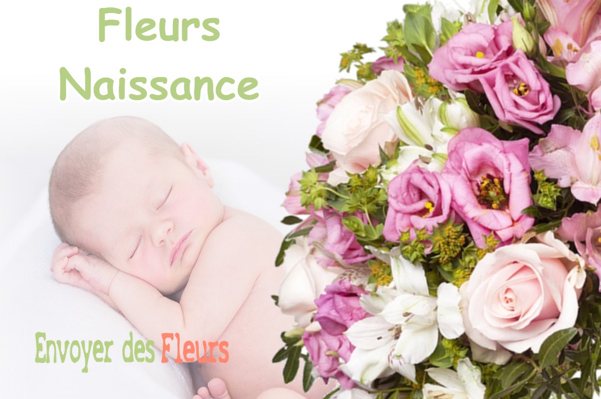 lIVRAISON FLEURS NAISSANCE à LONGCHAMPS-SUR-AIRE